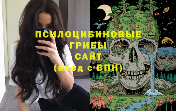 дурь Аркадак