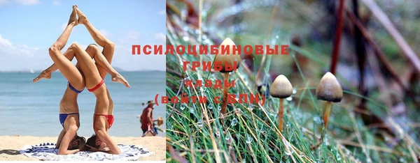 прущие крисы Балабаново